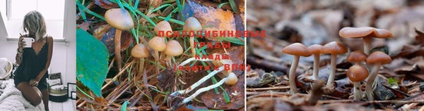 марки lsd Абдулино