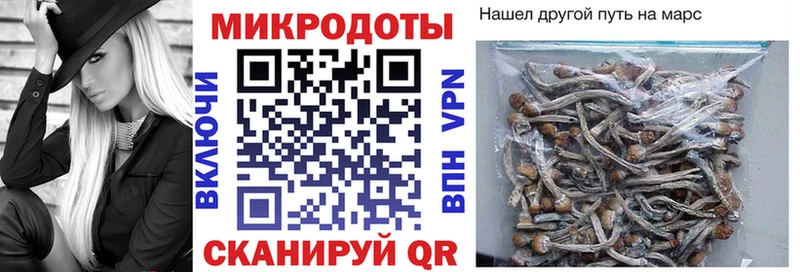 kraken сайт  Циолковский  Псилоцибиновые грибы Cubensis 